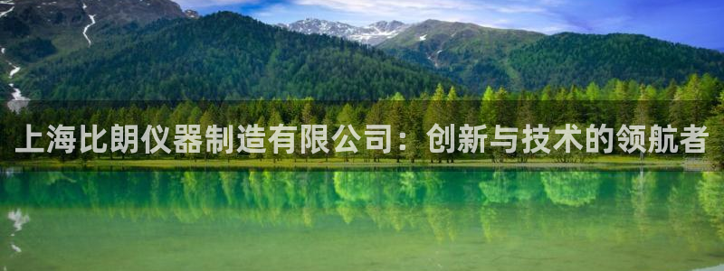 cq9电子首页平台：上海比朗仪器制造有限公司：创新与技术的领