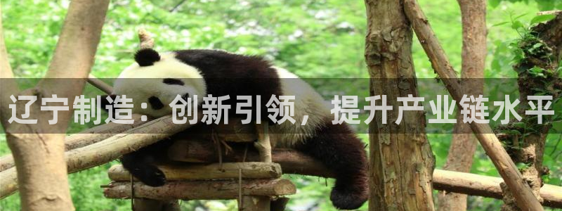cq9电子游艺怎么玩：辽宁制造：创新引领，提升产业链水平