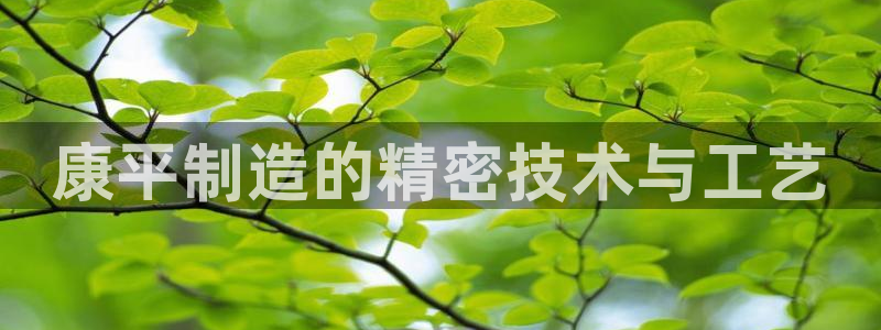 cq9电子游戏破解：康平制造的精密技术与工艺