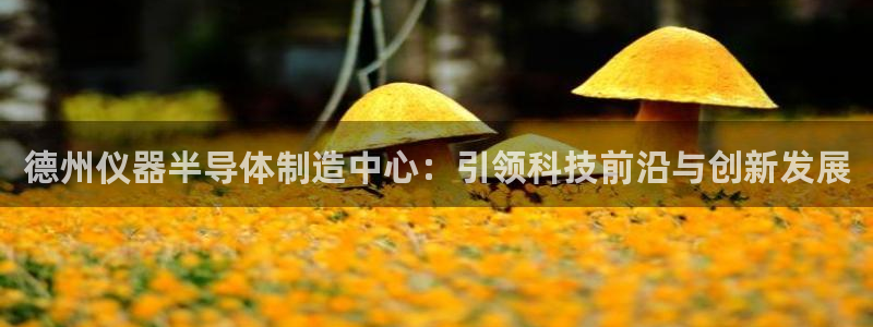 电子游戏cq9规则