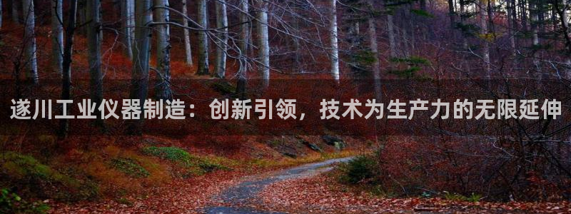 cq9传奇电子游戏官方：遂川工业仪器制造：创新引领，技术为生