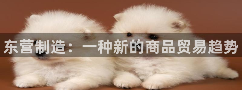 cq9电子卡免费：东营制造：一种新的商品贸易趋势