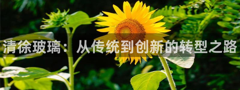 cq9电子试玩网：清徐玻璃：从传统到创新的转型之路