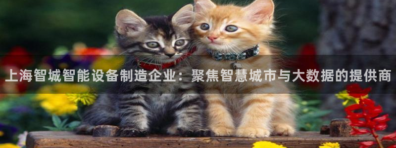 武圣cq9传奇电子：上海智城智能设备制造企业：聚焦智慧城市与