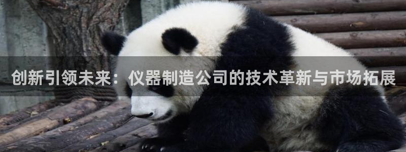 cq9电子宙斯大奖：创新引领未来：仪器制造公司的技术革新与市