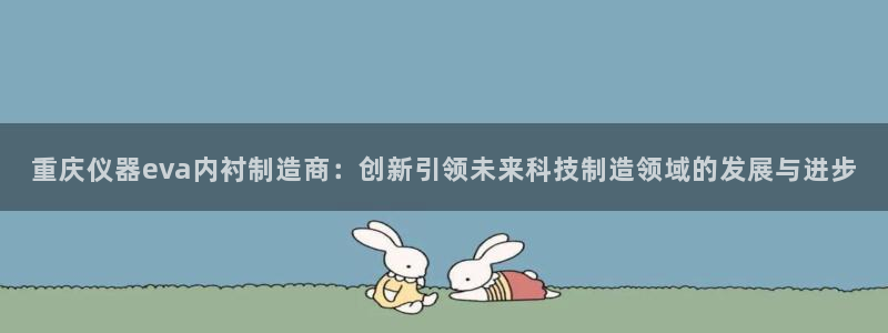 cq9传奇电子游艺：重庆仪器eva内衬制造商：创新引领未来科