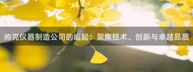 电子爆分cq9火神：帅克仪器制造公司的崛起：聚焦技术、创新与