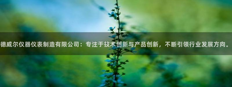 cq9电子游戏交流：德威尔仪器仪表制造有限公司：专注于技术创