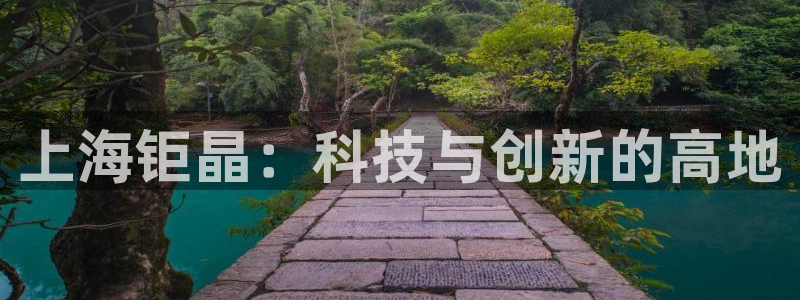 索林电子cq9：上海钜晶：科技与创新的高地