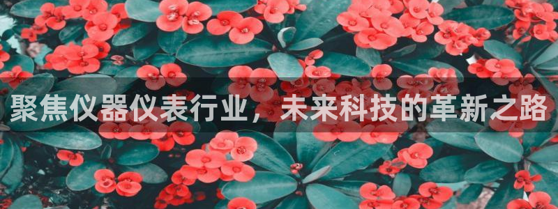 传奇电子游戏cq9：聚焦仪器仪表行业，未来科技的革新之路