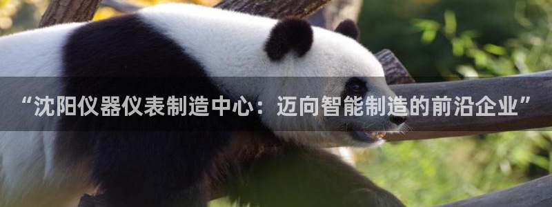 cq9电子试玩：“沈阳仪器仪表制造中心：迈向智能制造的前沿企