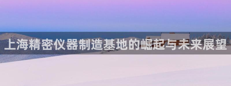 cq9电子发财神2：上海精密仪器制造基地的崛起与未来展望