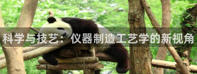 cq9电子跳教学：科学与技艺：仪器制造工艺学的新视角