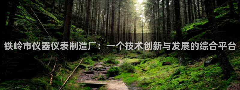 cq9传奇电子大奖：铁岭市仪器仪表制造厂：一个技术创新与发展