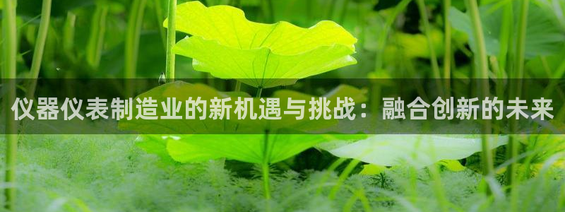 cq9传奇电子嗨起来：仪器仪表制造业的新机遇与挑战：融合创新