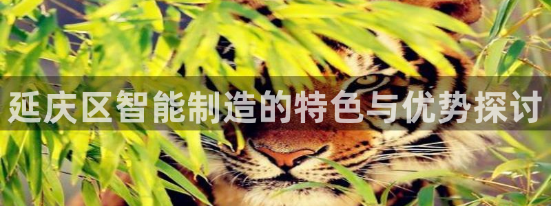 CQ9传奇电子大奖截图：延庆区智能制造的特色与优势探讨