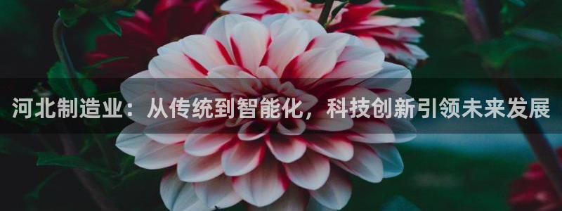 CQ9电子火之女王：河北制造业：从传统到智能化，科技创新引领