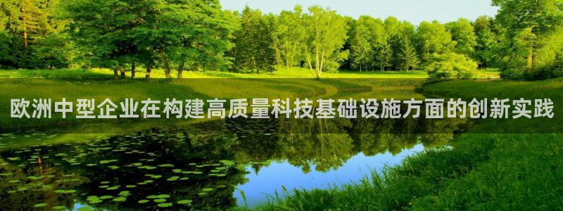 cq9电子8个灯：欧洲中型企业在构建高质量科技基础设施方面的