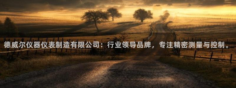 cq9传奇电子舞：德威尔仪器仪表制造有限公司：行业领导品牌，