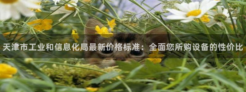 cq9电子平台哪里玩：天津市工业和信息化局最新价格标准：全面