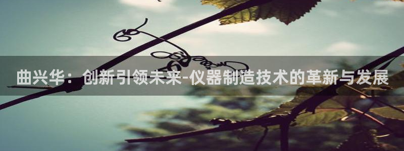 武圣cq9传奇电子：曲兴华：创新引领未来-仪器制造技术的革新