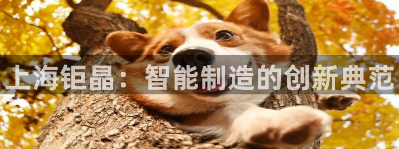 CQ9电子游CQ9电子游戏：上海钜晶：智能制造的创新典范