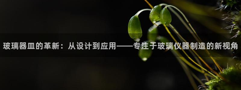 玩cq9电子的秘诀：玻璃器皿的革新：从设计到应用——专注于玻