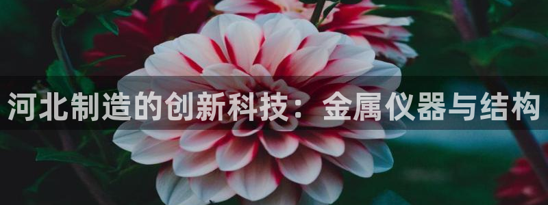 cq9电子宙斯：河北制造的创新科技：金属仪器与结构