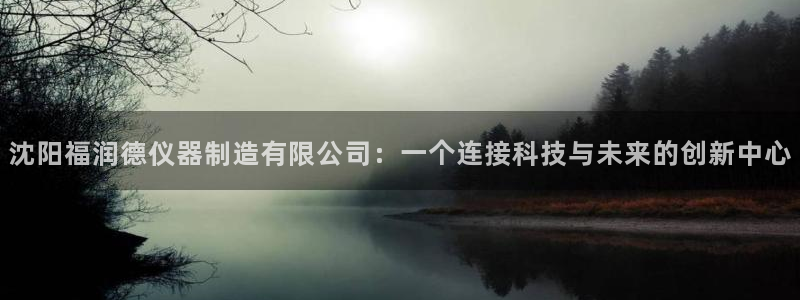 cq9电子怎样快速回本：沈阳福润德仪器制造有限公司：一个连接