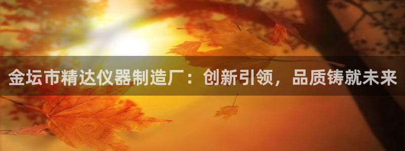 cq9电子爆大奖技巧：金坛市精达仪器制造厂：创新引领，品质铸