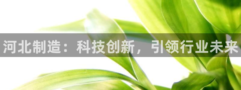 cq9传奇电子舞：河北制造：科技创新，引领行业未来