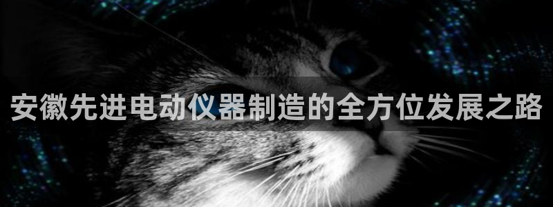 cq9传奇电子跳更高：安徽先进电动仪器制造的全方位发展之路
