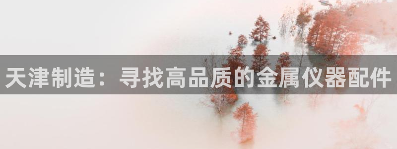 cq9电子血之吻：天津制造：寻找高品质的金属仪器配件