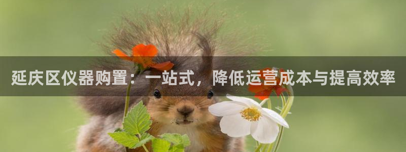 cq9电子 维护：延庆区仪器购置：一站式，降低运营成本与提高