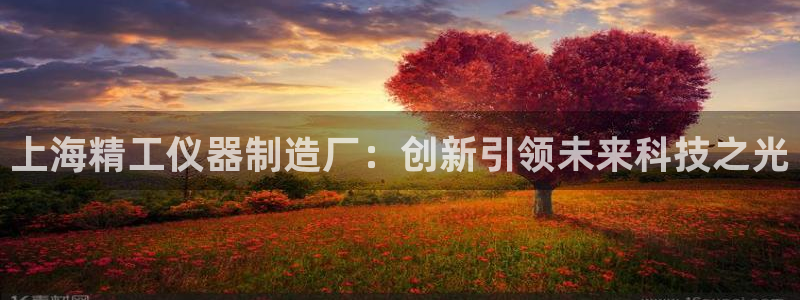 cq9 电子游艺：上海精工仪器制造厂：创新引领未来科技之光