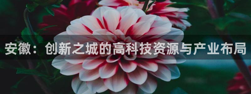 pp电子跟cq9：安徽：创新之城的高科技资源与产业布局