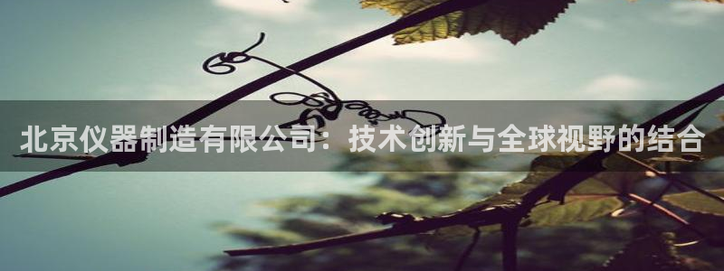 cq9电子爆发视频：北京仪器制造有限公司：技术创新与全球视野
