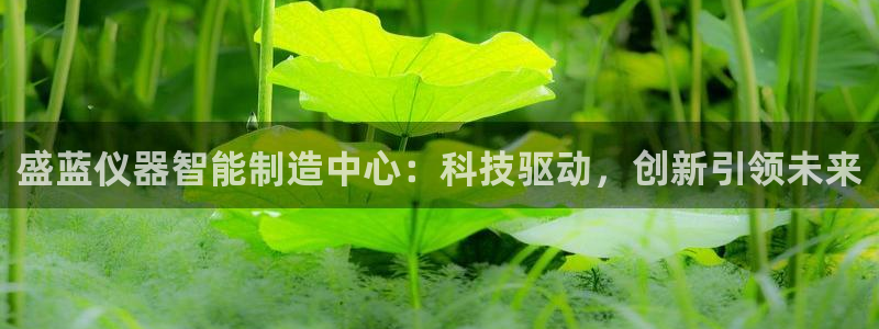 cq9电子武：盛蓝仪器智能制造中心：科技驱动，创新引领未来
