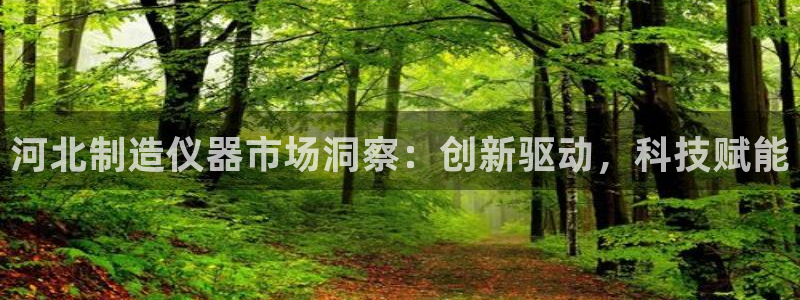cq9电子开挂软件：河北制造仪器市场洞察：创新驱动，科技赋能