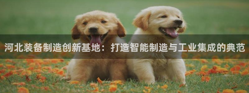 电子cq9骗局：河北装备制造创新基地：打造智能制造与工业集成