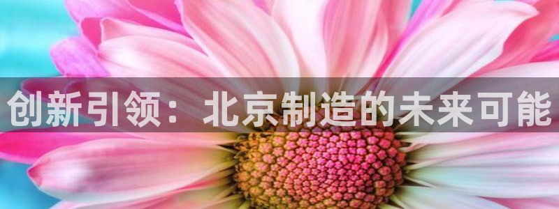 cq9电子水果派对：创新引领：北京制造的未来可能