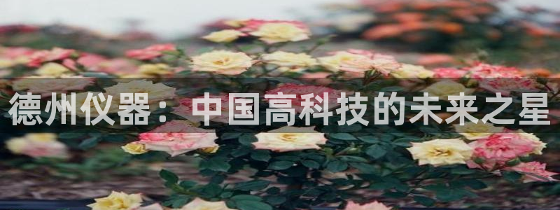 电子cq9试玩版：德州仪器：中国高科技的未来之星