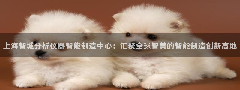 cq9电子辅助：上海智城分析仪器智能制造中心：汇聚全球智慧的