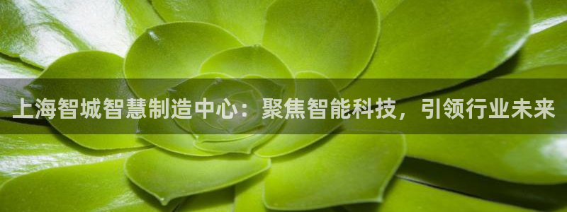 cq9电子游艺：上海智城智慧制造中心：聚焦智能科技，引领行业