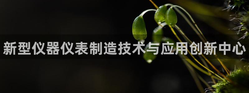 电子cq9规则：新型仪器仪表制造技术与应用创新中心