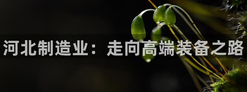 电子cq9游戏武圣：河北制造业：走向高端装备之路
