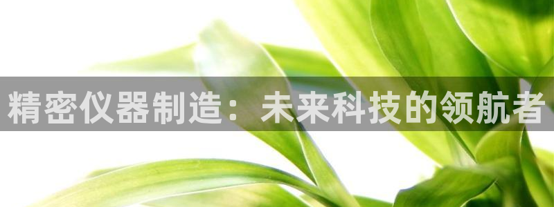 cq9电子爆分规律：精密仪器制造：未来科技的领航者