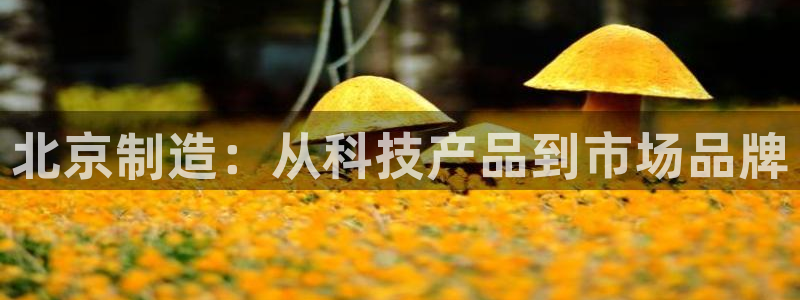 棋牌传奇电子cq9：北京制造：从科技产品到市场品牌
