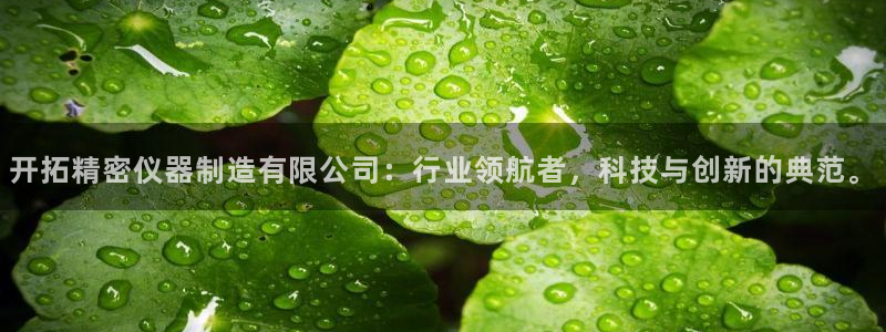 cq9电子跳起来：开拓精密仪器制造有限公司：行业领航者，科技