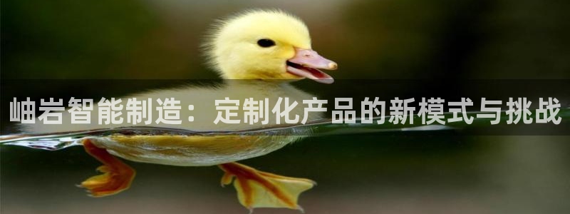 cq9电子宙斯大奖图片：岫岩智能制造：定制化产品的新模式与挑